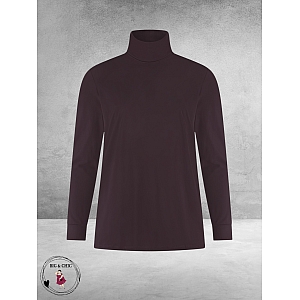 PLUS BASICS Shirt TURTLE NECK PRUNE